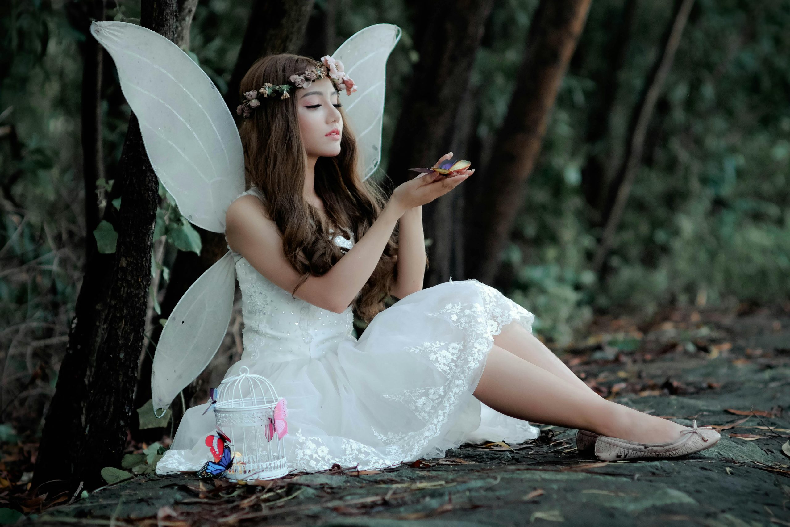 Home A captivating image of a fairy in white dress with wings, sitting in a woodland setting, holding a butterfly.